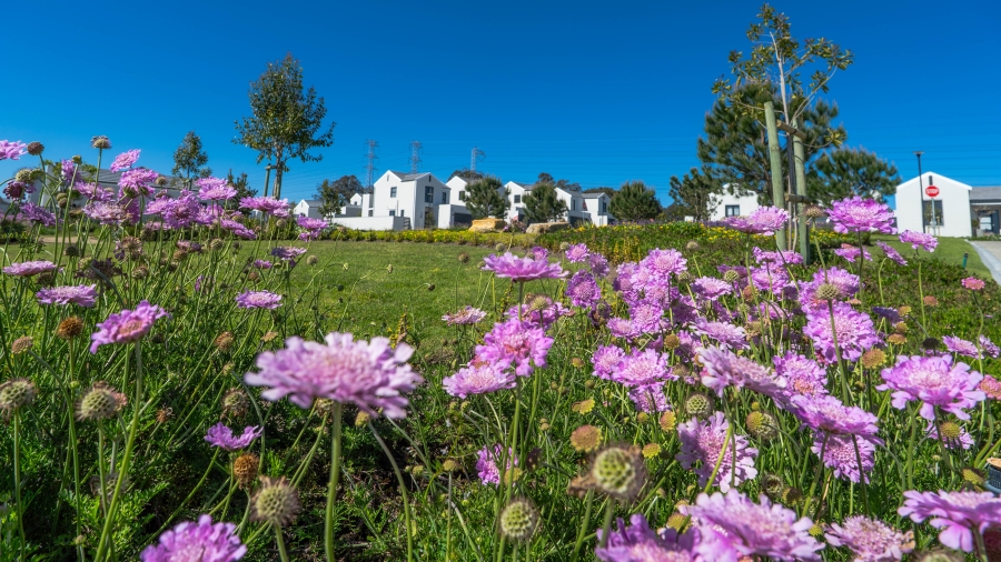 3 Bedroom Property for Sale in Haasendal Western Cape